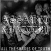 Assault & Battery - All The Shades Of Truth - LP